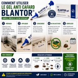 comment utiliser gel anti cafard blantor application étapes traitement cafards maison
