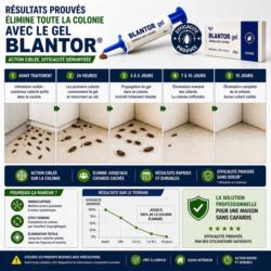 resultat gel anti cafard blantor avant apres elimination colonie cafards traitement efficace