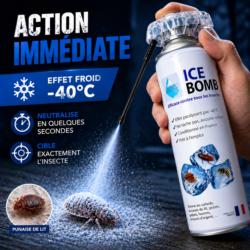 bombe froid anti insecte ice bomb action immediate effet froid -40 degres elimine insecte instantanement punaise de lit