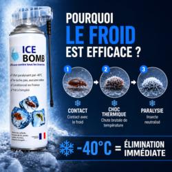 pourquoi le froid est efficace contre les insectes choc thermique -40 degres insecte paralyse et elimine instantanement
