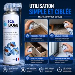 utilisation bombe froid insecte ice bomb application dans fissures plinthes tiroirs et sous meubles traitement insectes maison
