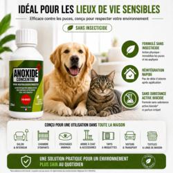 traitement anti puces maison avec animaux anoxide sans insecticide utilisation interieur chien chat reintégration rapide