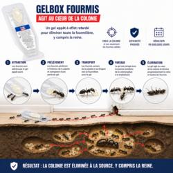 fonctionnement gel anti fourmis gelbox pipette appat fourmis transport gel vers nid elimination colonie avec indoxacarbe
