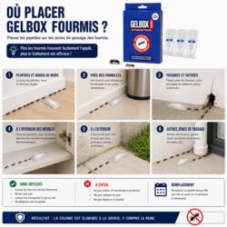 ou placer gel anti fourmis gelbox pipette zones de passage plinthes fissures poubelle exterieur traitement colonie fourmis