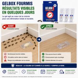 efficacite gel anti fourmis gelbox avant apres pipette vide colonie eliminee traitement appat indoxacarbe maison