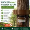 Piège chenilles processionnaires du pin PROCESSatrap collier 50 cm installé sur tronc d’arbre