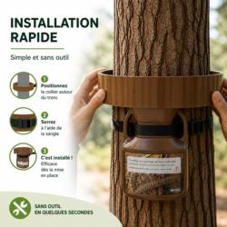 Installation du piège chenilles processionnaires PROCESSatrap collier 50 cm sur tronc d’arbre