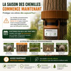 Saison des chenilles processionnaires et période d’installation du piège PROCESSatrap collier 50 cm