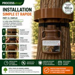 Installation du piège chenilles processionnaires PROCESSatrap collier 100 cm sur tronc d’arbre