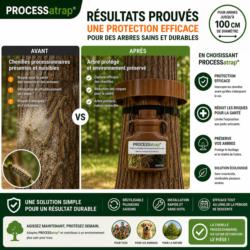 Résultat piège chenilles processionnaires PROCESSatrap collier 100 cm avant après sur arbre