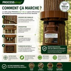 Fonctionnement du piège chenilles processionnaires PROCESSatrap collier 100 cm sur arbre