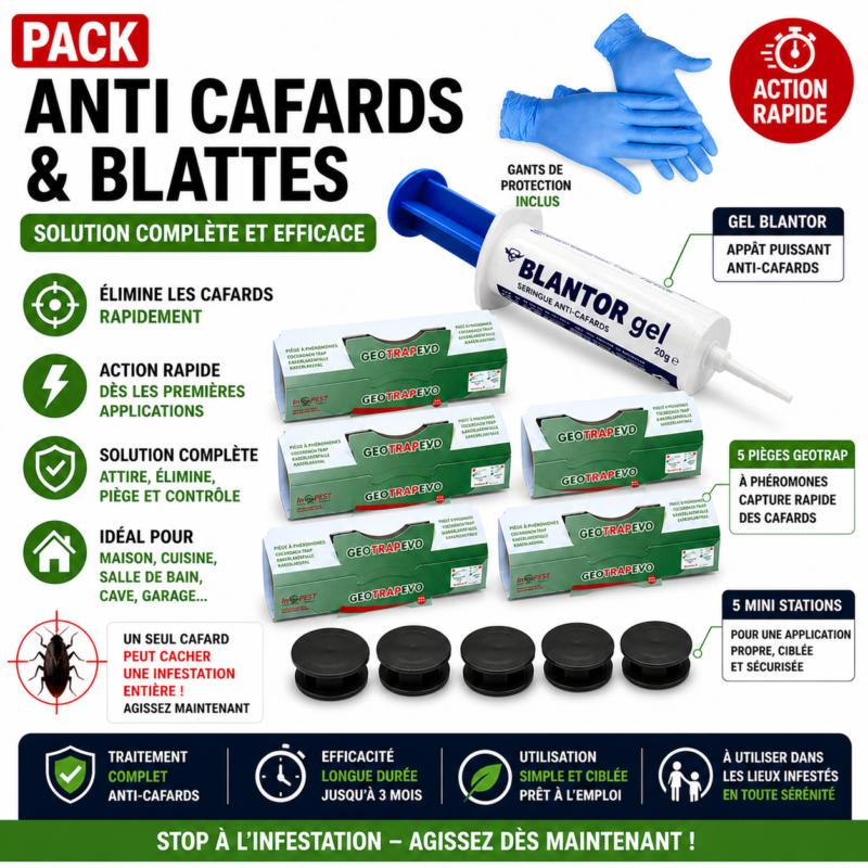 pack anti cafards blattes complet gel blantor 5 geotrap 5 mini stations traitement efficace infestation