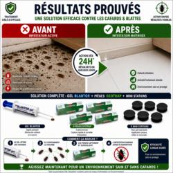 traitement cafards blattes efficace avant apres pack gel blantor pieges geotrap elimination infestation