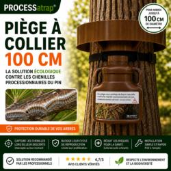 piege collier chenille processionnaire du pin 100 cm avec photo chenilles protection arbre processatrap