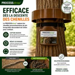 Efficacité du piège chenilles processionnaires PROCESSatrap collier 100 cm sur arbre