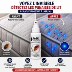 avant apres detection punaise de lit spray indic traces matelas traces bleues test infestation punaise