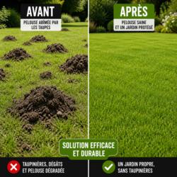 avant apres pelouse taupiniere jardin taupe pelouse abimee vs pelouse propre sans taupe