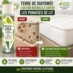 avant apres punaise de lit matelas infestation traitement terre de diatomee diatozen efficace