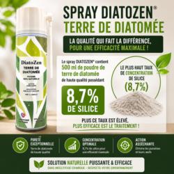 terre de diatomee punaise de lit 87 pourcent silice diatozen concentration elevee traitement efficace