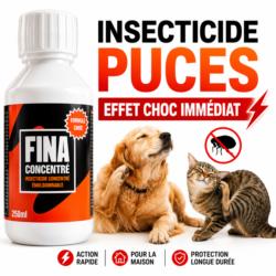 insecticide puces chien chat fina concentre traitement maison puces effet choc immediat