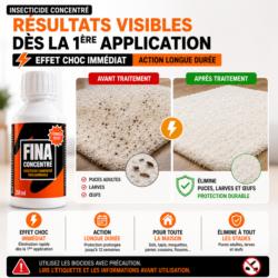 avant apres puces tapis traitement insecticide fina concentre elimination puces larves oeufs efficace