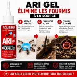 comment fonctionne gel anti fourmis ari gel elimination colonie transport gel au nid fourmiliere