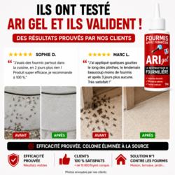 avis client gel anti fourmis ari gel photos infestation avant apres resultat efficace