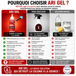 gel anti fourmis ari gel vs spray insecticide solution maison comparaison efficacité elimination colonie