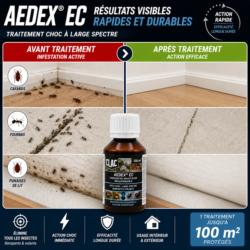 avant apres insecticide aedex ec infestation cafards fourmis punaises elimination rapide