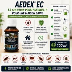 insecticide aedex ec efficace longue duree elimination insectes maison puces cafards fourmis