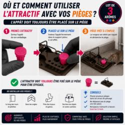 comment utiliser attractif rats souris sur piege nara lure appat rongeurs efficace