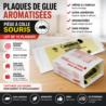 plaque glue souris piege colle lot de 10 aromatise capture rapide sans poison