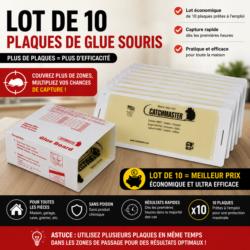 plaque glue souris lot de 10 piege colle efficace sans poison capture rapide