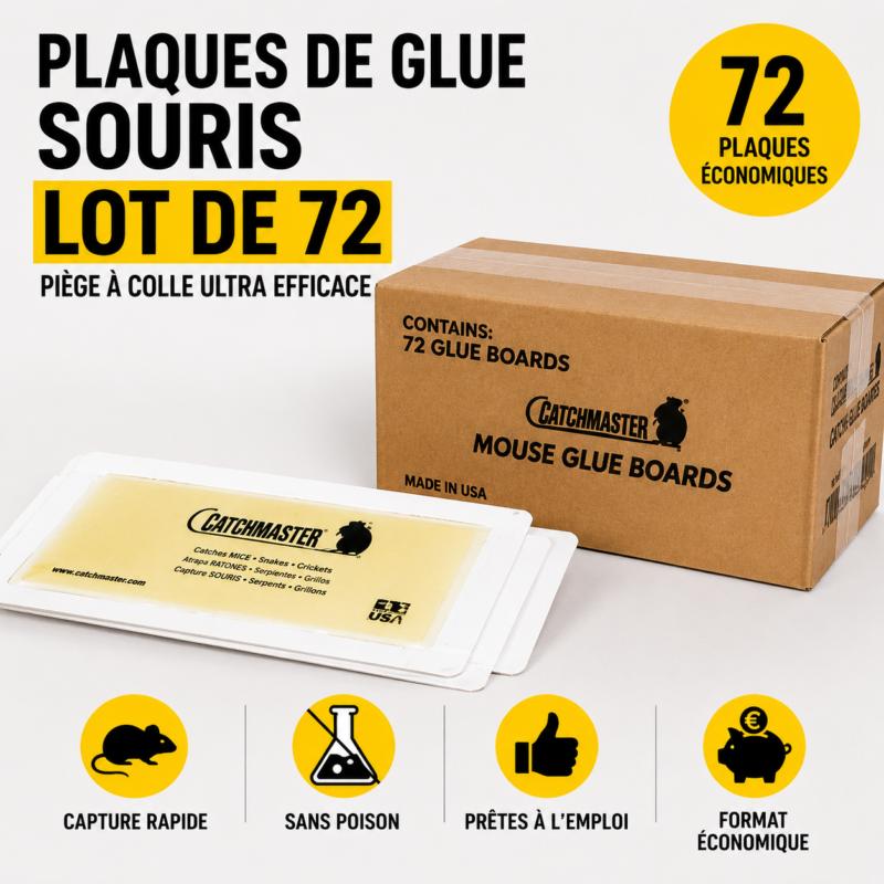 plaque glue souris lot 72 piege colle professionnel sans poison ultra adhesif