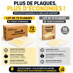 plaque glue souris lot 72 economique comparatif lot 10 piege colle couverture maximale
