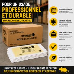 plaque glue souris lot 72 usage professionnel stockage longue duree piege colle efficace