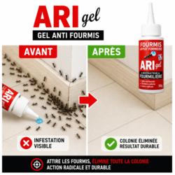 gel anti fourmis ari gel avant apres infestation fourmis colonie eliminee traitement efficace