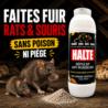 repulsif anti rats et souris halte sans poison ni piege pour faire fuir les rongeurs