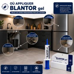 où appliquer le gel anti cafard blantor dans une cuisine pour éliminer les blattes