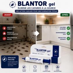 avant après traitement avec le gel anti cafard blantor pour éliminer une infestation de blattes