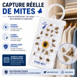 Capture réelle de mites des vêtements sur un piège à phéromone PYRO NET montrant l'efficacité de la plaque adhésive