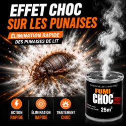 Fumigène anti punaises de lit FUMICHOC à effet choc pour une élimination rapide
