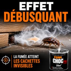Effet débusquant du fumigène anti punaises de lit FUMICHOC atteignant les cachettes invisibles