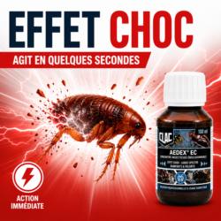 insecticide anti puces aedex ec elimine puces effet choc immédiat