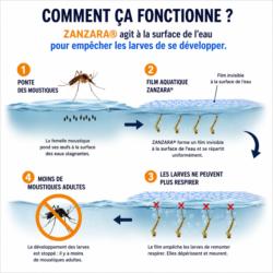 Schéma expliquant le fonctionnement du film aquatique ZANZARA qui empêche les larves de moustiques de respirer dans les eaux