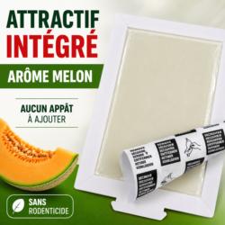 Piège à glu anti-souris TOPISTOP avec attractif arôme melon intégré, sans appât à ajouter