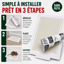 Mode d'emploi du piège à glu anti-souris TOPISTOP en 3 étapes : retirer le film, placer le piège et contrôler la capture