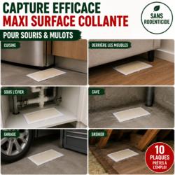 Piège à glu anti-souris TOPISTOP placé dans différents lieux : cuisine, sous évier, derrière les meubles, cave, garage
