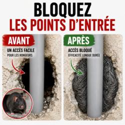 Avant après installation de la barrière anti-rongeurs XCLUDER autour d'un tuyau pour bloquer l'accès aux rats et souris