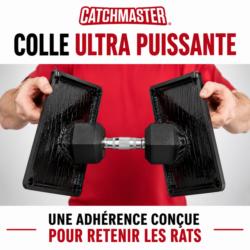 Démonstration de la forte adhérence du piège à glu anti-rats Catchmaster